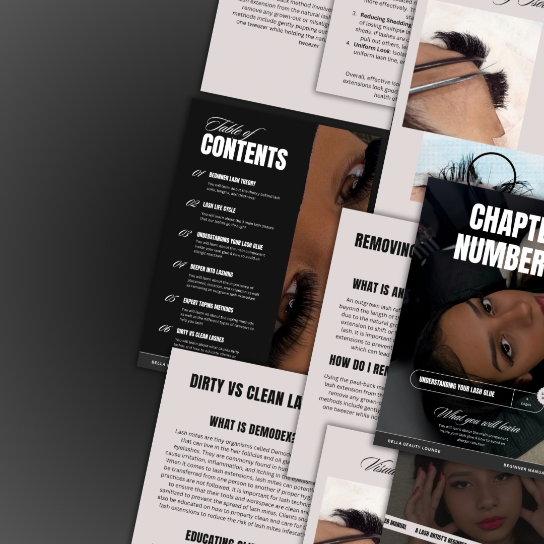 Intro To Lash Artistry Ebook